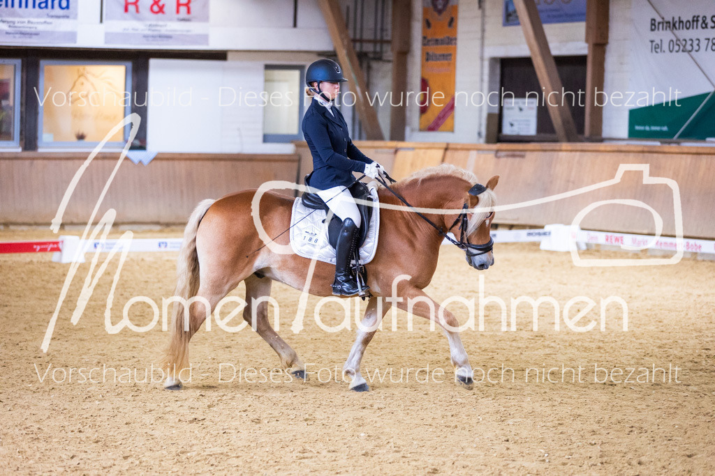 Sth-A-Dre-2St-022 | MomenTaufnahmen Pferdesportfotos