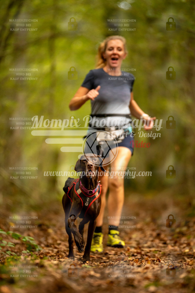 TSB_2023_E1_Canicross-7 | PayLife