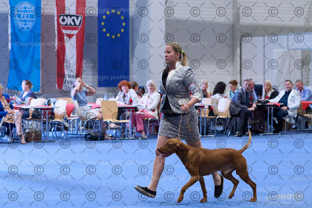 202406_ÖKV-IHA-Tulln24_DSC_4133 | proPHOTO - Realisiert mit Pictrs.com