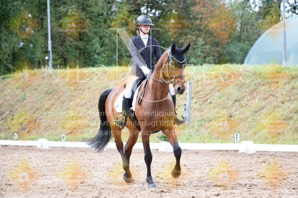DSC_1543 | Nils Cress - Fotografie - Realisiert mit Pictrs.com