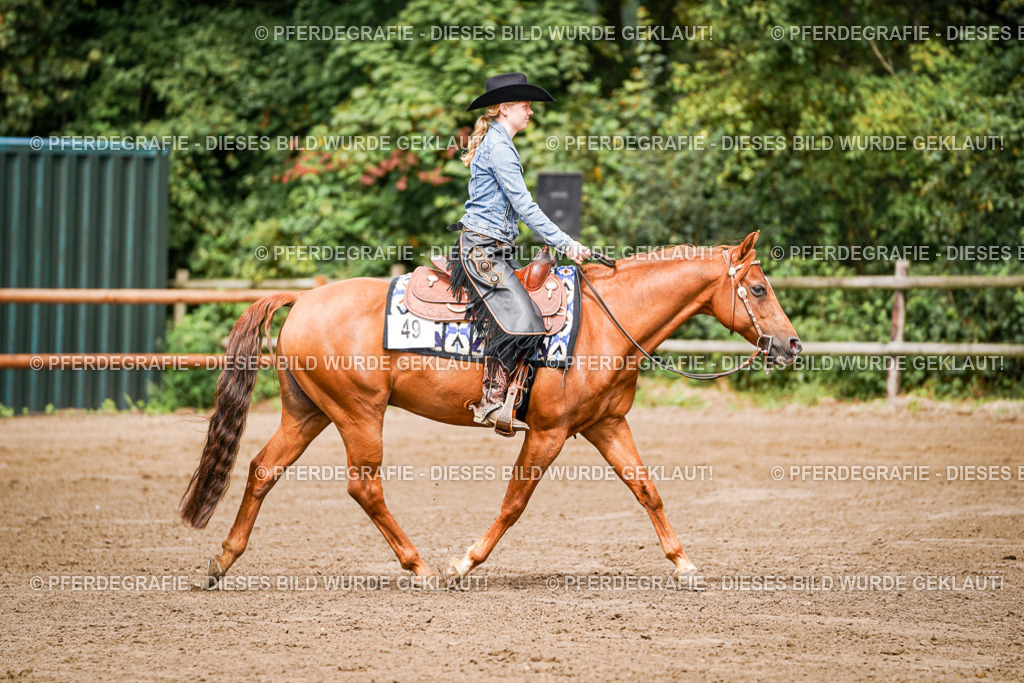 DSC06539 | Pferdegrafie