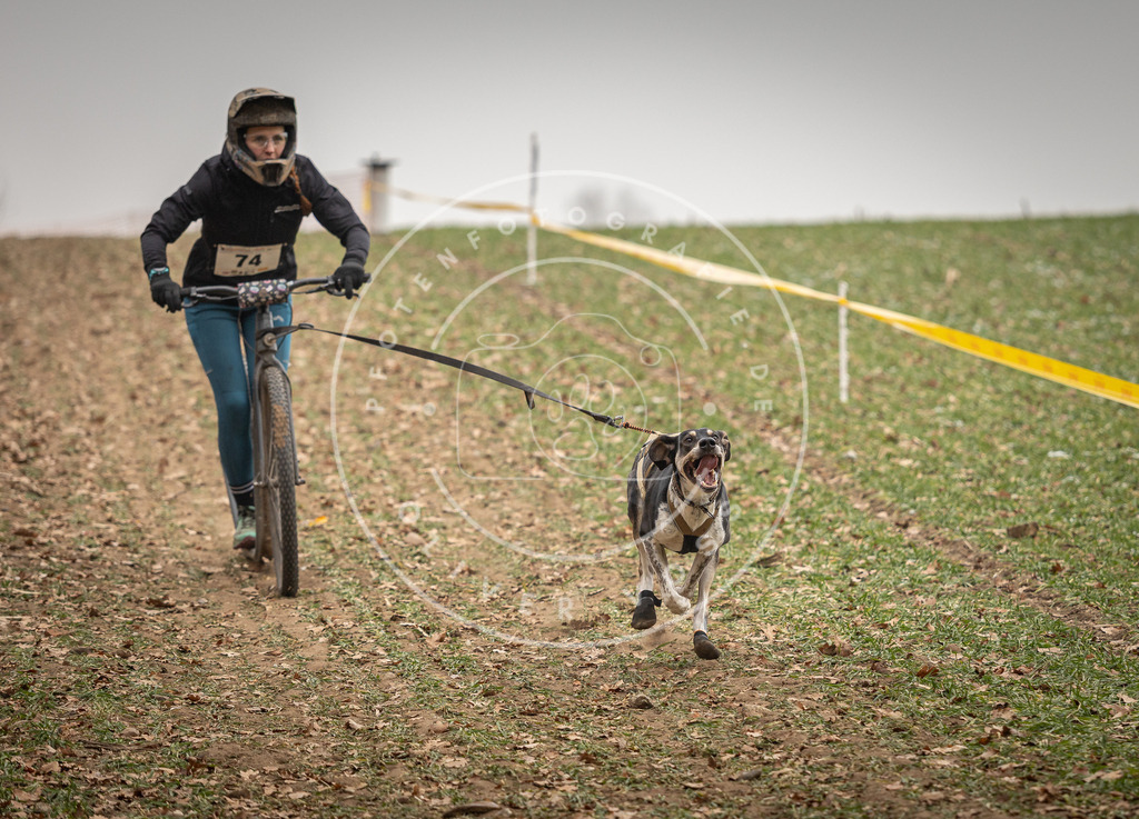 Pfotenfotografie_DV3A3667 | Hundefotografie, Tierfotograf, Pfotenfotografie, Fotoshooting Hund, Hunde Portrait, Hundesport, Hundeportraits, Heideshooting, Hunde, Sportfotograf, Hundefotograf, Turnierhundsport, THS,  - Realisiert mit Pictrs.com