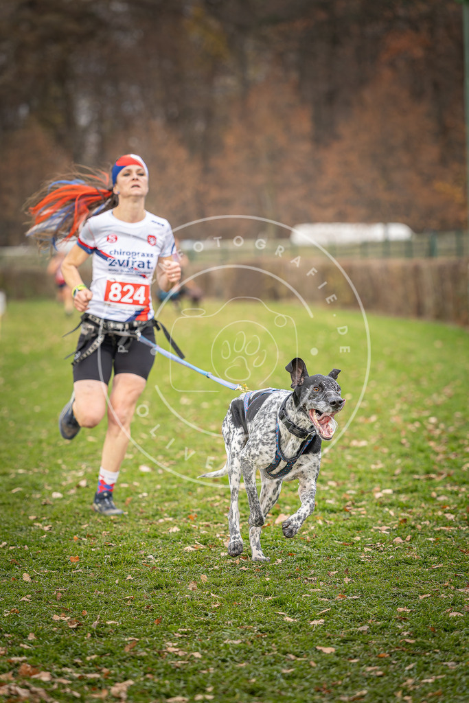 CaniXpix_DV3A6331 | Hundefotografie, Tierfotograf, Pfotenfotografie, Fotoshooting Hund, Hunde Portrait, Hundesport, Hundeportraits, Heideshooting, Hunde, Sportfotograf, Hundefotograf, Turnierhundsport, THS,  - Realisiert mit Pictrs.com