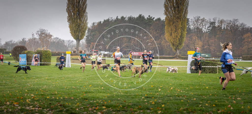 CaniXpix_DV3A8846 | Hundefotografie, Tierfotograf, Pfotenfotografie, Fotoshooting Hund, Hunde Portrait, Hundesport, Hundeportraits, Heideshooting, Hunde, Sportfotograf, Hundefotograf, Turnierhundsport, THS,  - Realisiert mit Pictrs.com