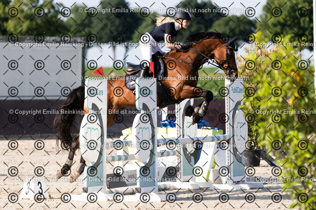 CL5A1393 | Emilia Reinking Fotografie - Realisiert mit Pictrs.com