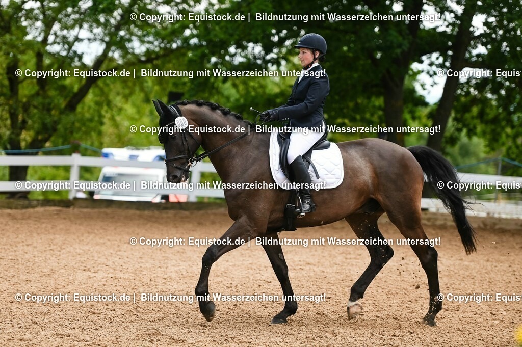 20230716_03_Dressurprfg. Kl.L - Tr._0342 | equistock