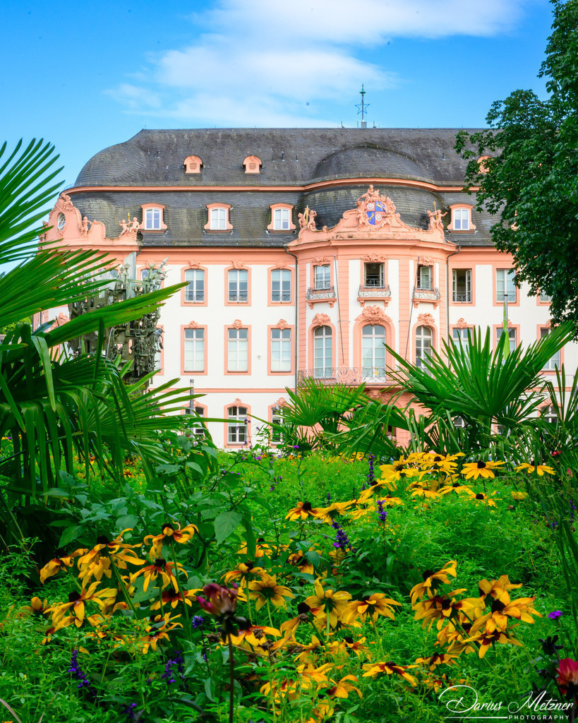 DSC_3965 2 | Fotografien, Fotos und Bilder aus Mainz, Frankfurt, Wiesbaden und anderen Orten auf der Welt - Fotografiert von Darius Metzner