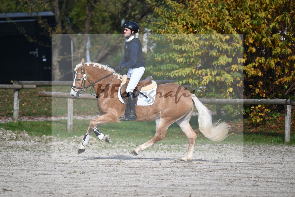 Kat-Nr. 4 Eichhofs Antares_Heule_44240867 | hf-fotografie - Realisiert mit Pictrs.com