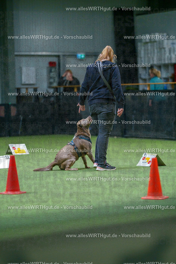 7R501297 | Professionelle Tierfotografie in Mönchengladbach von Daniel Wirth (allesWIRTHgut). Liebevolle & natürliche Bilder von Hunden & Katzen für unvergessliche Erinnerungen.