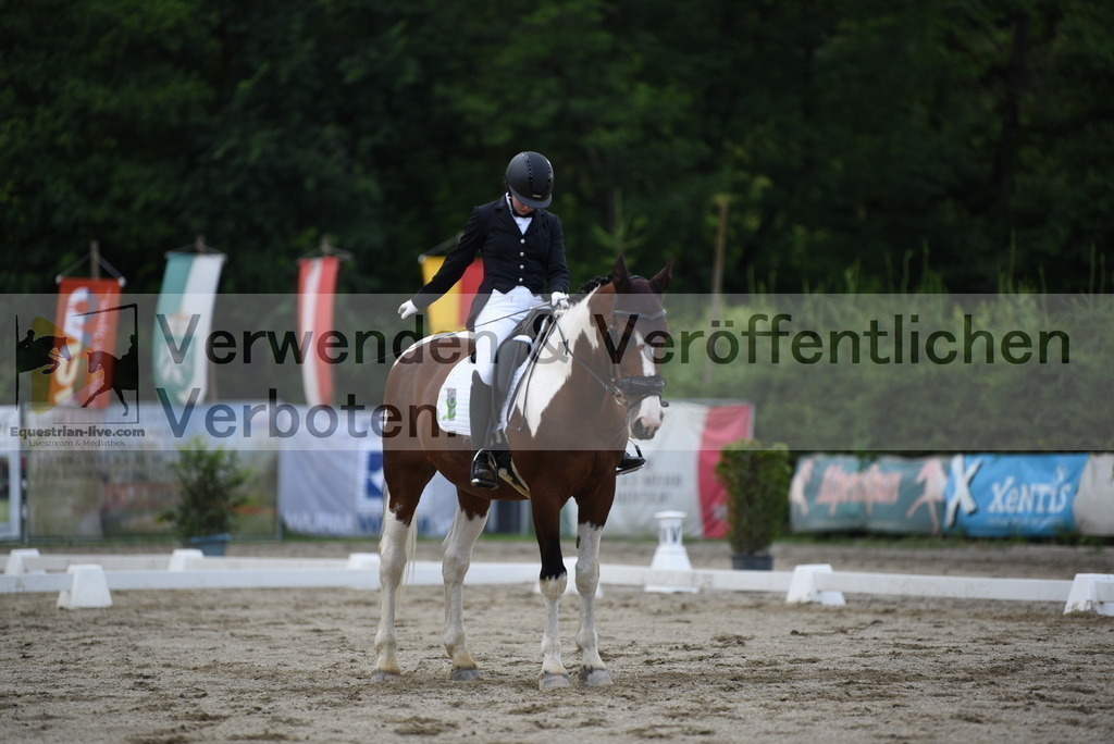 DSC_6531 | equestrian-live-com