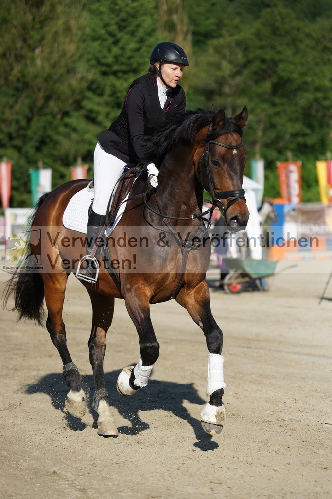 DSC05900 | equestrian-live-com