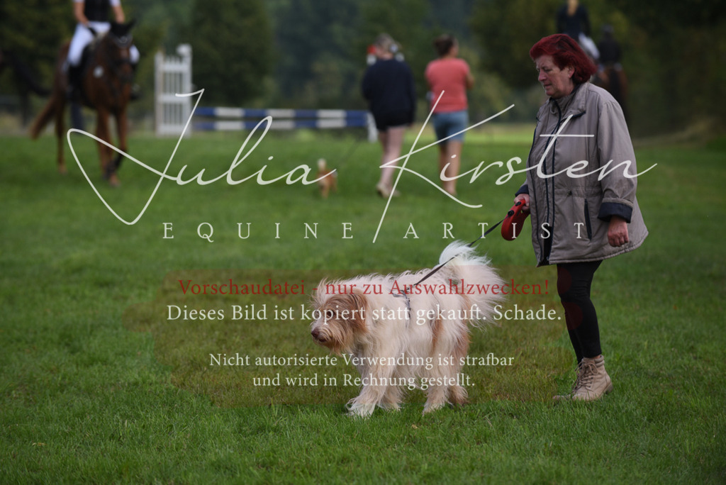 DSC_8604 | Pferde- und Turnierfotografie in Westsachsen. Pferdeportraits, Auftragszeichnungen und intuitive Kunst.