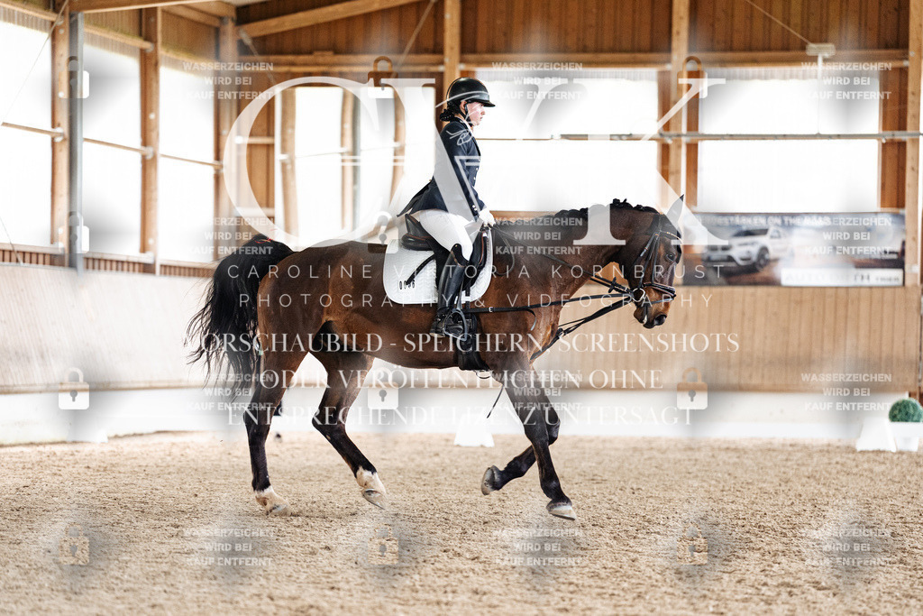 CK901782 | Turnierfotografie Pferdefotografie Trier Rheinland-Pfalz Pferdesport Reitsport Tierfotografie Sportfotografie Pferdevideo Pferdevideografie Equestrianvideography equestrianphotography  - Realisiert mit Pictrs.com