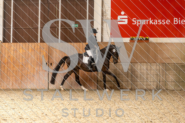 2L2A4307 | stallwerkstudio - Realisiert mit Pictrs.com