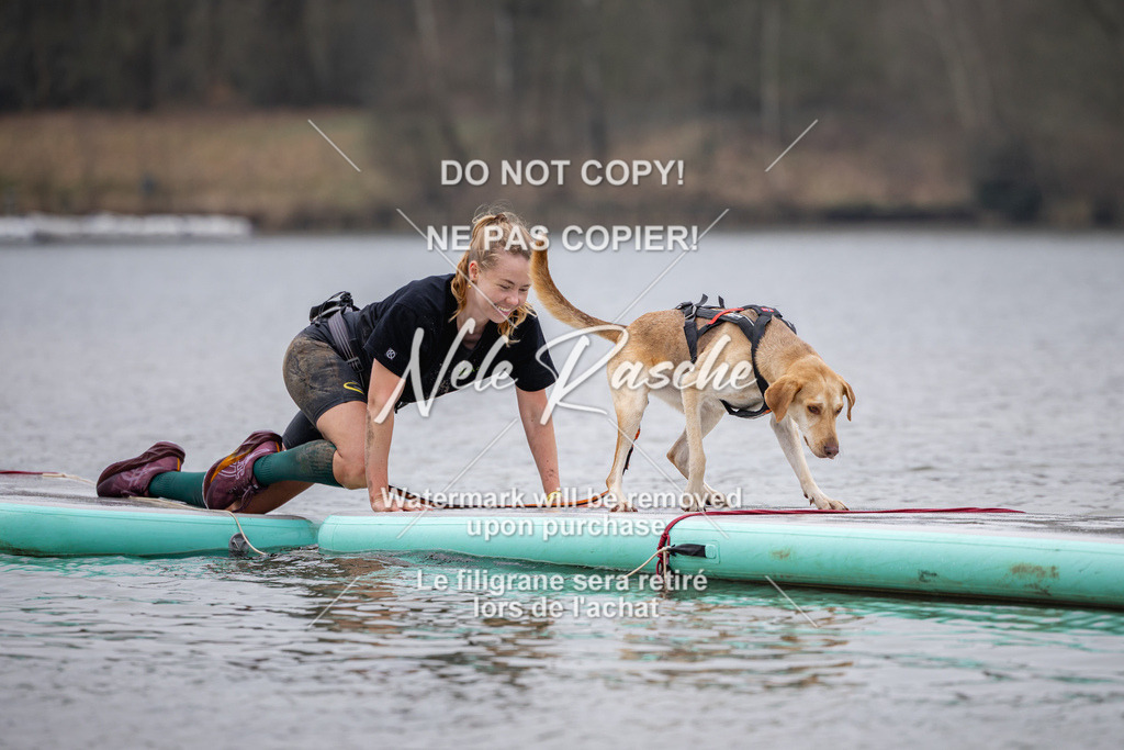nelerasche_Hulsbeek_Sa1515-1600_100 | nelerasche