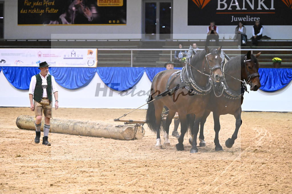 Schauprogramm_54222514 | hf-fotografie - Realisiert mit Pictrs.com