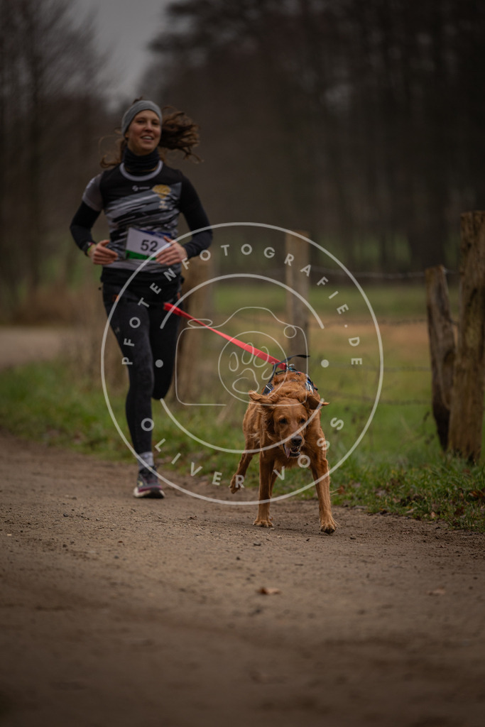 Pfotenfotografie_DV3A2927 | Hundefotografie, Tierfotograf, Pfotenfotografie, Fotoshooting Hund, Hunde Portrait, Hundesport, Hundeportraits, Heideshooting, Hunde, Sportfotograf, Hundefotograf, Turnierhundsport, THS,  - Realisiert mit Pictrs.com
