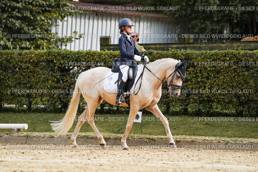 DSC04792 | Pferdegrafie