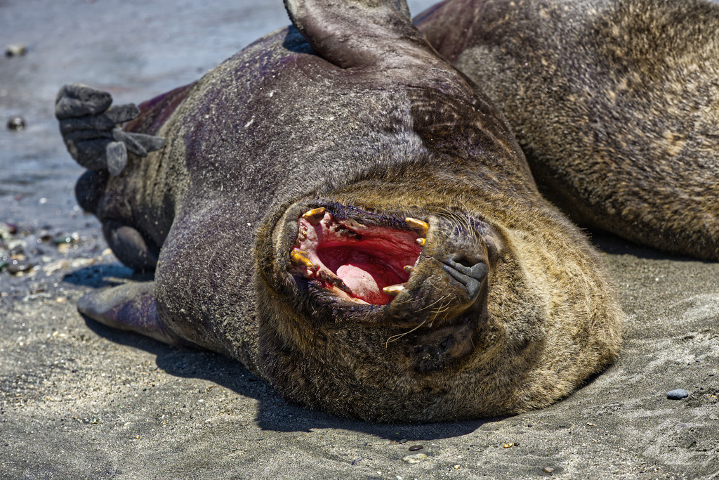 1H5A3383 | ansichtssache