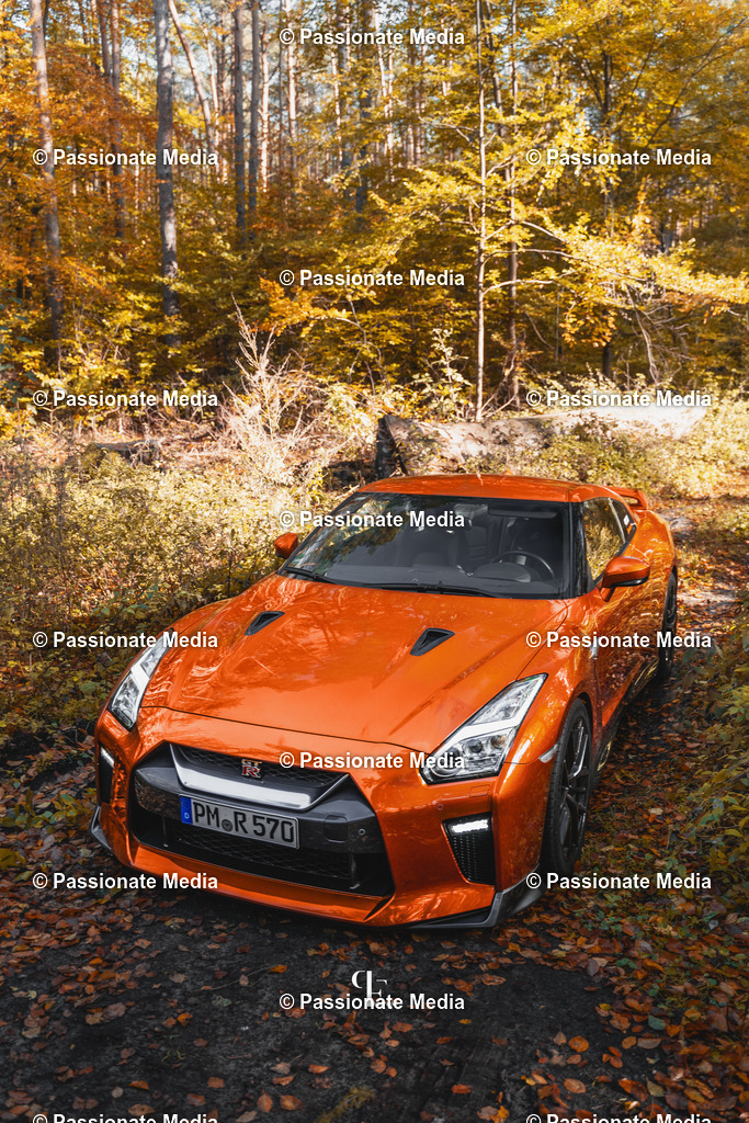 DSC06166 | Passionate Media, dein Fotograf aus Brandenburg, Märkisch Oderland, im Bereich Motorsport, Autos und Motorräder sowie Events und auch Hunde. Shootings oder auch Eventbegleitungen können bei mir gebucht we