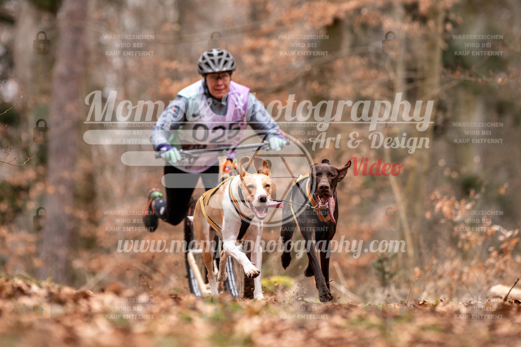 AKM_ST_2023_SAM_DS2-47 | PayLife