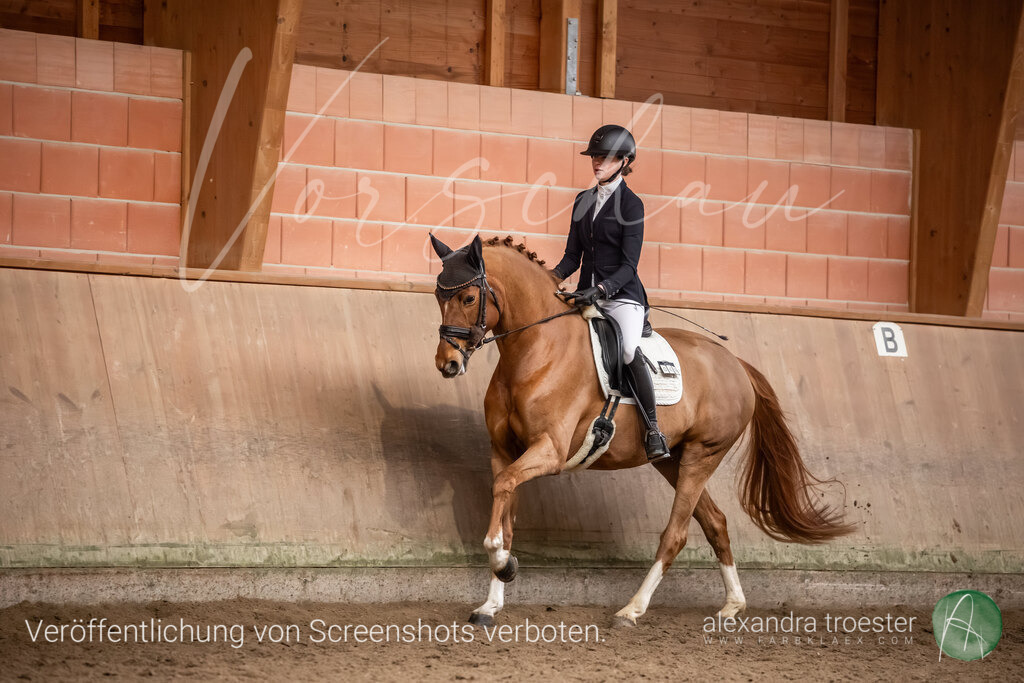 260328_Barop_12_176 | farbklaex.com
