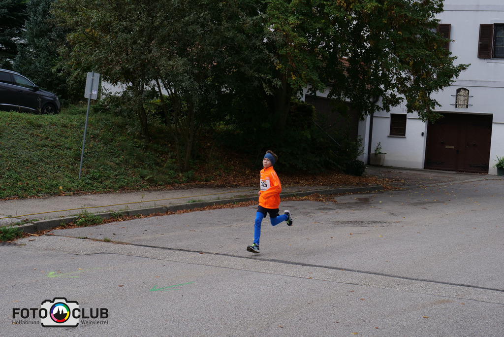 P1017230 | Foto Buchgraber