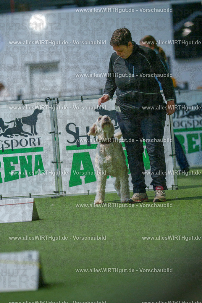 7R500758 | Professionelle Tierfotografie in Mönchengladbach von Daniel Wirth (allesWIRTHgut). Liebevolle & natürliche Bilder von Hunden & Katzen für unvergessliche Erinnerungen.