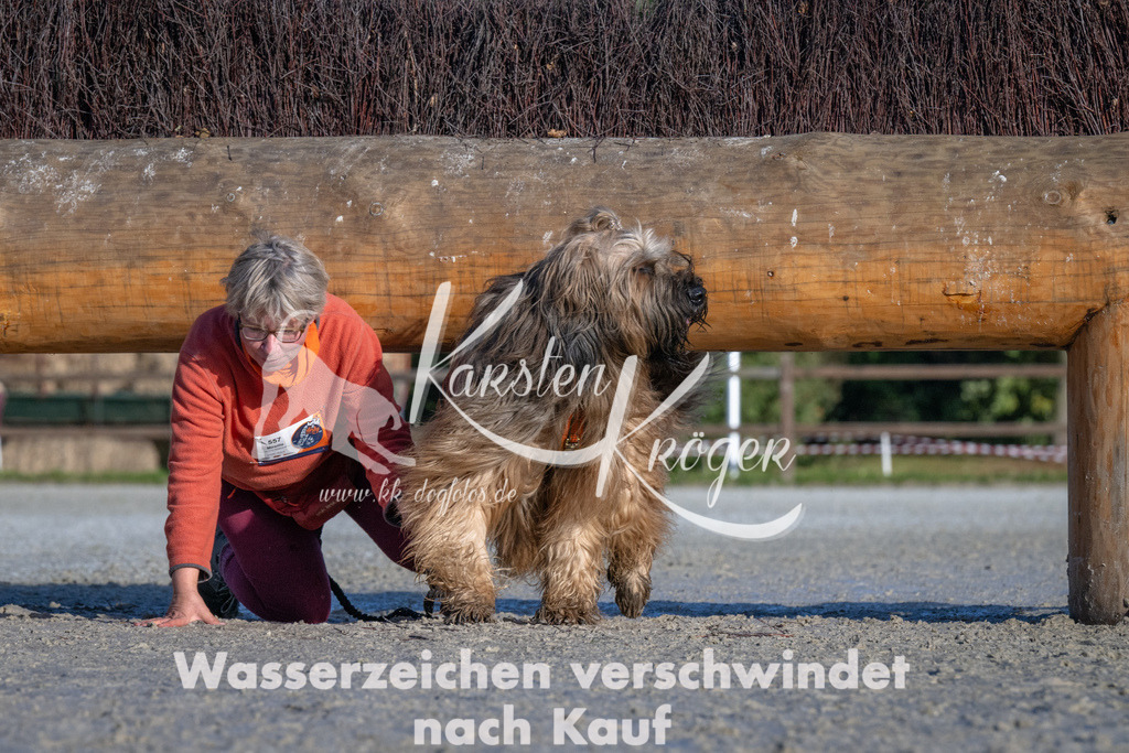 1028-_ZZ91338 | kk-dogfotos