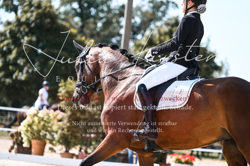 DSC_5053 | Pferde- und Turnierfotografie in Westsachsen. Pferdeportraits, Auftragszeichnungen und intuitive Kunst.