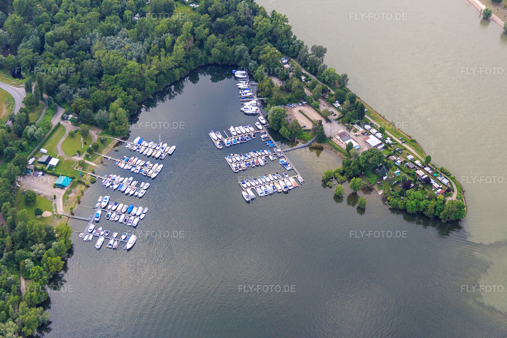 Luftbild: Bootsanleger des Sportboot-Club Ludwigshafen/ Rhein und des MCP Yacht Club und Restaurant Ludwigshafen am Kiefscher Weiher am Rhein im Ortsteil Rheingönheim in Ludwigshafen im Bundesland Rheinland-Pfalz in Deutschland.Foto: IMG_090989.jpg vom 04.07.2016 durch Werner Riehm/FLY-FOTO.deWWW.SBC-LUDWIGSHAFEN.DEm MCP