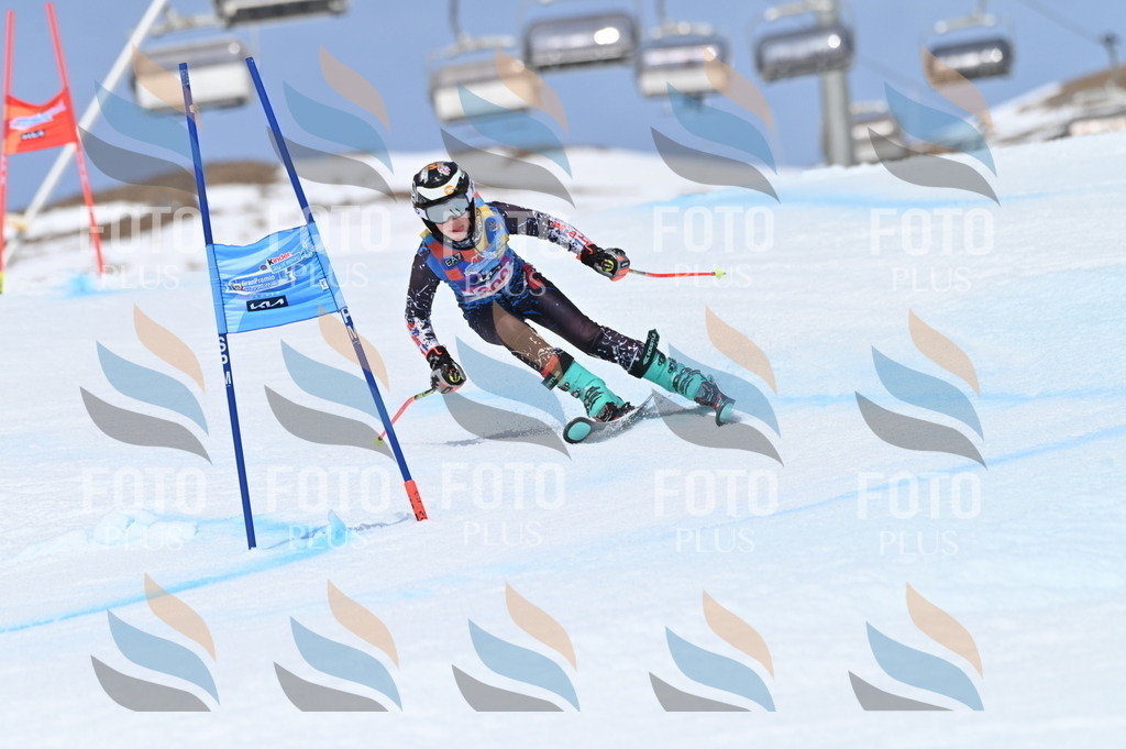 BGV_2922 | holidayphoto