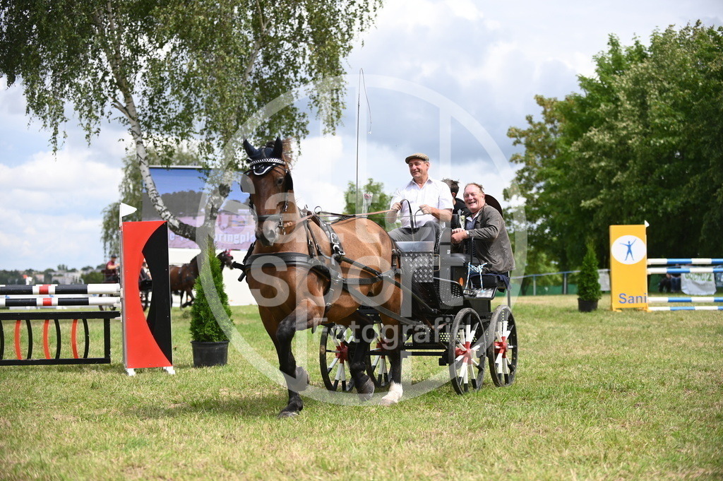 DSC_6904 | sattelsport - Realisiert mit Pictrs.com