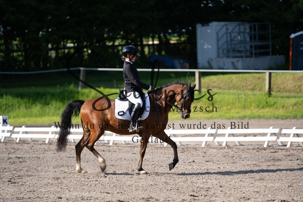 A7V02232 | Pferdefotograf