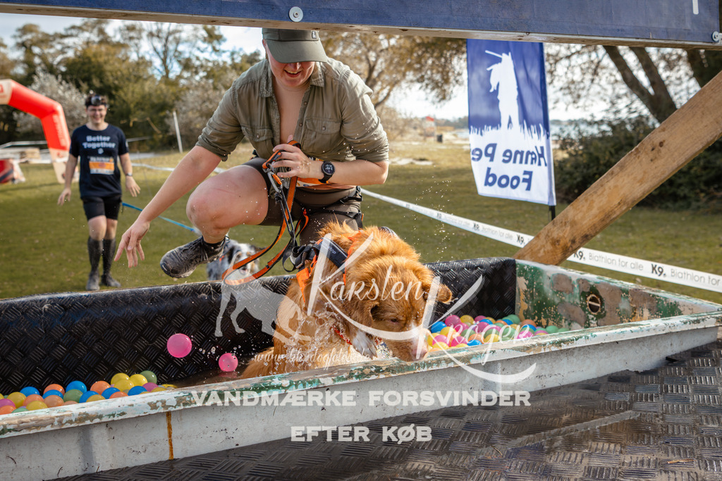 1420_ZZ94318-2 | kk-dogfotos