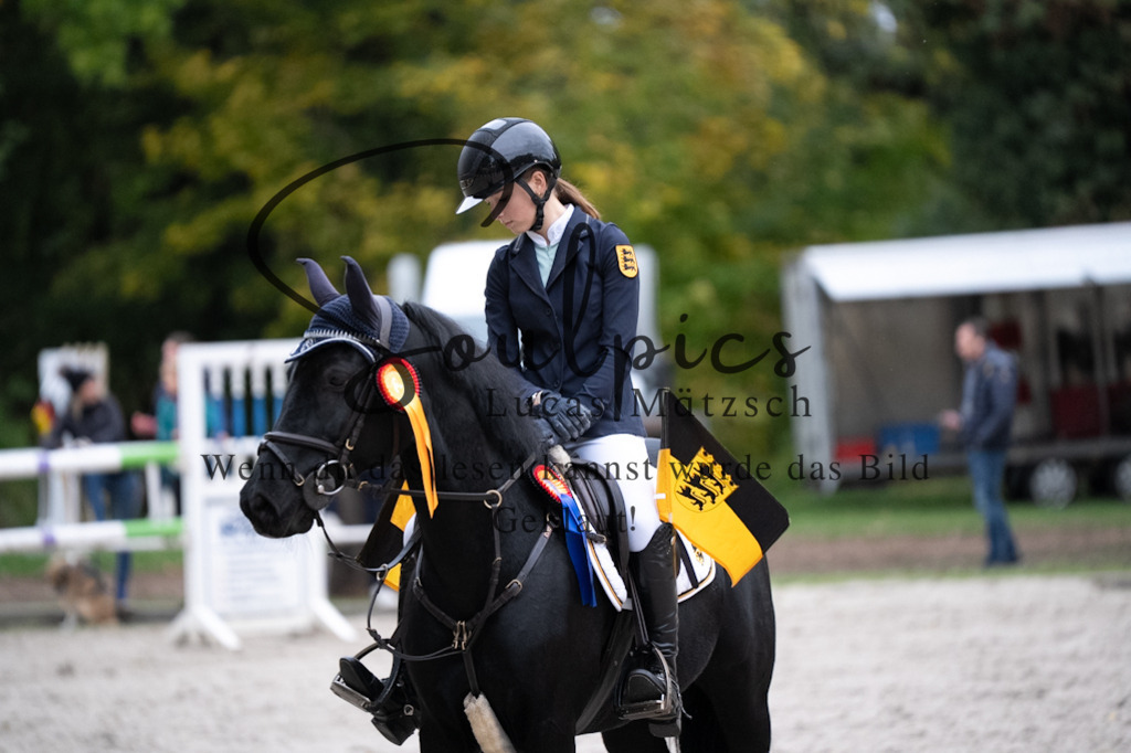 A7V08912 | Pferdefotograf