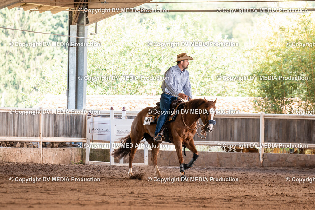 Erbach Tag 2-891 | dv-media-shop - Realisiert mit Pictrs.com