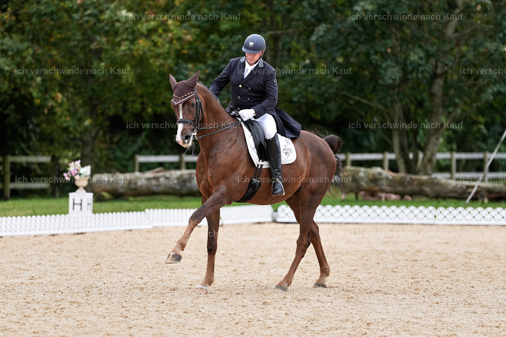 11-092-Dressur S___-Marixx-1602 | working equitationturnier fotograf videograf stoibphotography marixx film working equitation deutschland reitsport turnierfotografie eventfotografie equestrian events