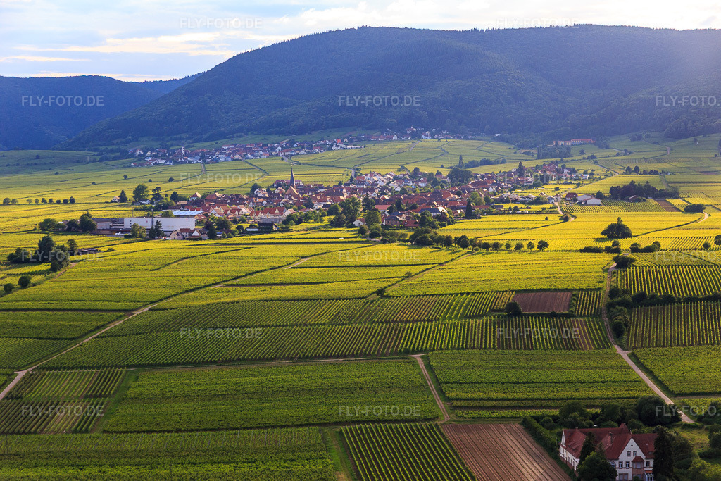 Luftbild: Ortsansicht aus Osten in Rhodt unter Rietburg im Bundesland Rheinland-Pfalz in Deutschland. Foto: IMG_090132.jpg vom 26.06.2016 durch Werner Riehm/FLY-FOTO.de
