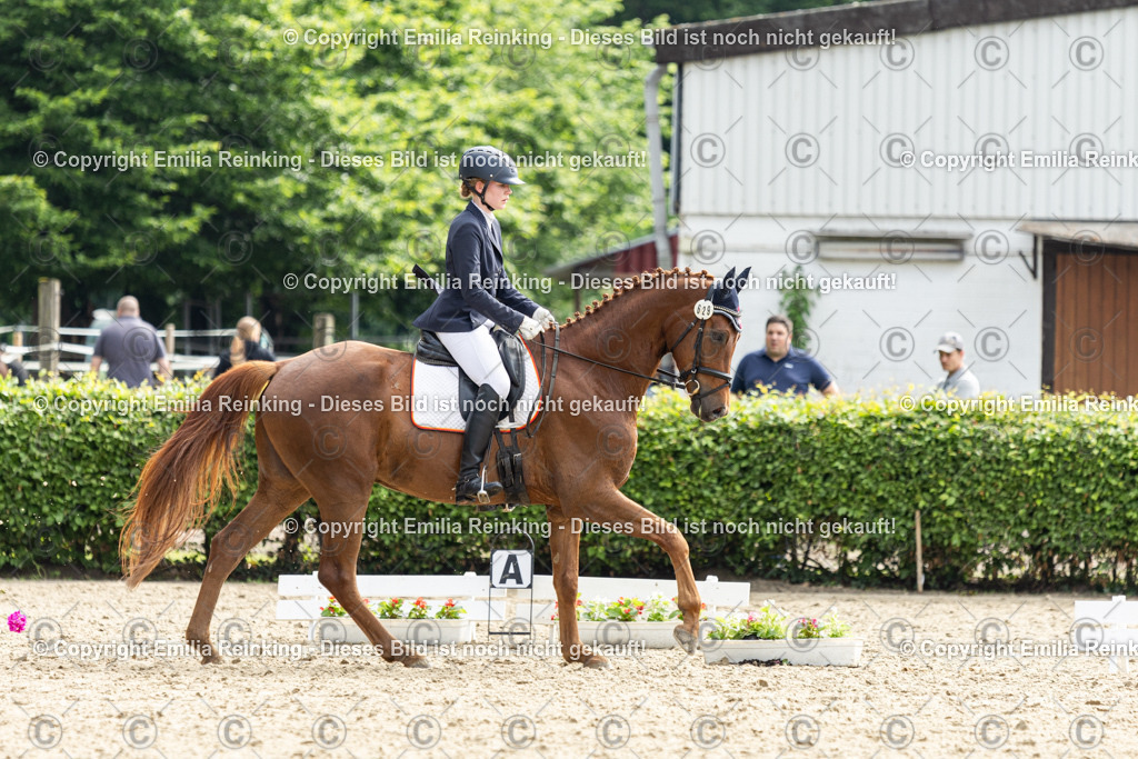 CL5A5651 | Emilia Reinking Fotografie - Realisiert mit Pictrs.com