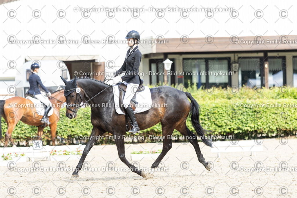 CL5A6176-2 | Emilia Reinking Fotografie - Realisiert mit Pictrs.com