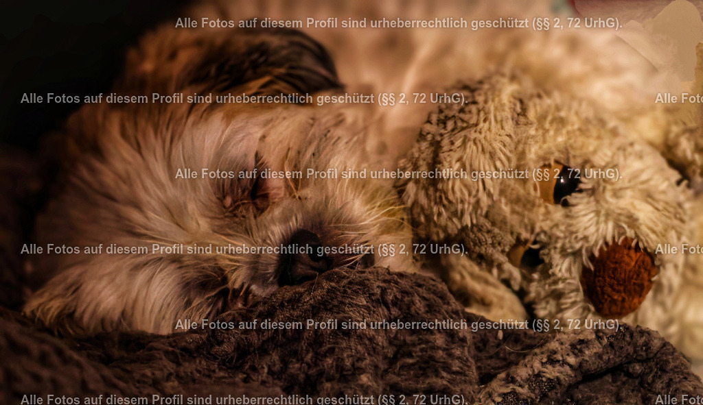 20240320213120_0C4A4043_5-01 | krollfotografie - Realisiert mit Pictrs.com
