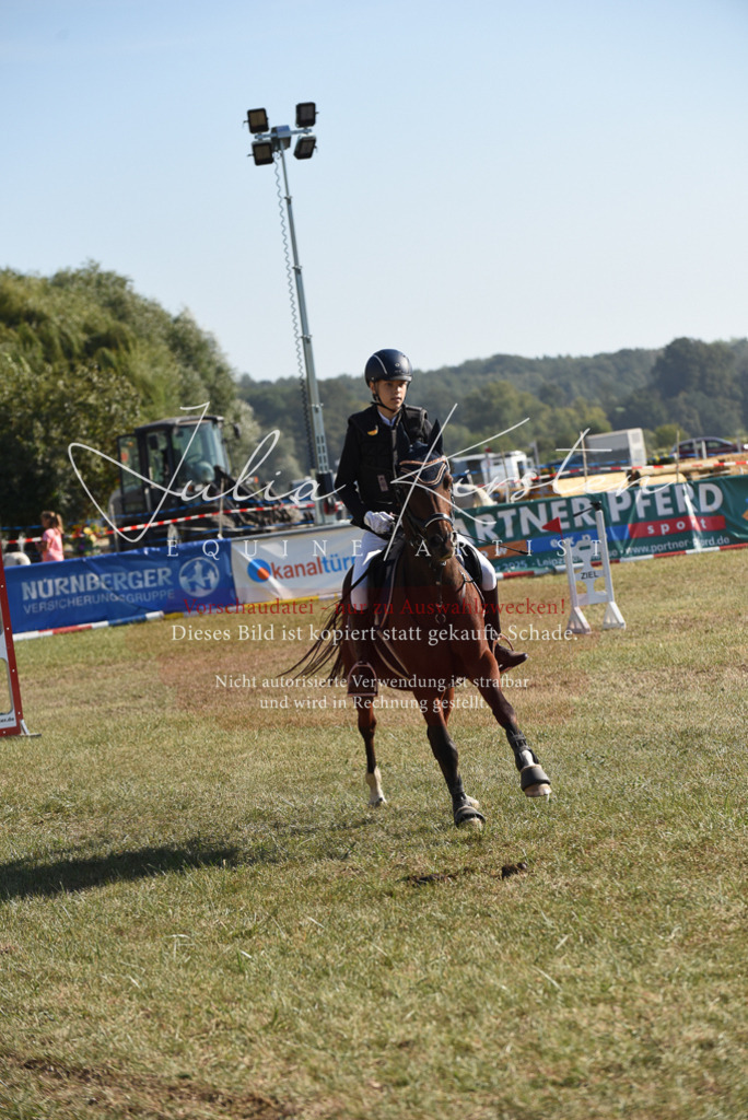 DSC_5816 | Pferde- und Turnierfotografie in Westsachsen. Pferdeportraits, Auftragszeichnungen und intuitive Kunst.