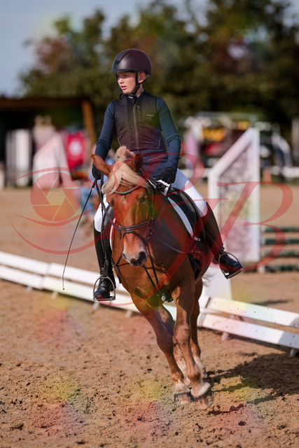 2026_10_03_Siefer-Hof_120032_Z81_02552396 | Professionelle Reitsport-, Turnier- und Eventfotografie von Robert Broda. Galerien mit ausgewählten und bearbeiteten Bildern direkt online ansehen und bestellen.