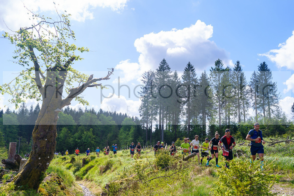 Rennsteiglauf Marathon 2025 | Marathon von Neuhaus/Rwg. nach Schmiedefeld/Rstg. am 17. Mai 2025