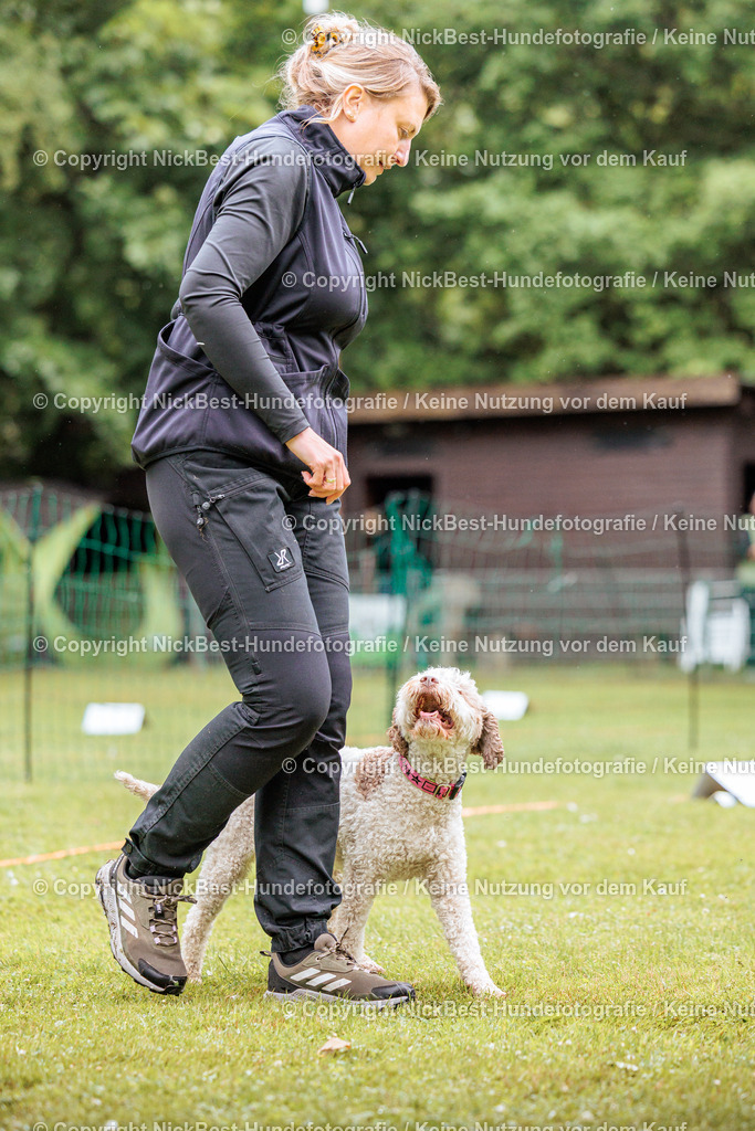 RO-Blumenthal-2026-Nickbest-Hundefotografie-3678 | Dein Hund! Dein Moment! Deine Erinnerungen! Hundefotografie in Bremen Blumenthal. Ich fange die besonderen Momente deines Vierbeiners ein – ob Indoor mit Blitzanlage oder in der freien Natur. Sicher dir dein Moment und dein Termin für eure Erinnerungen.