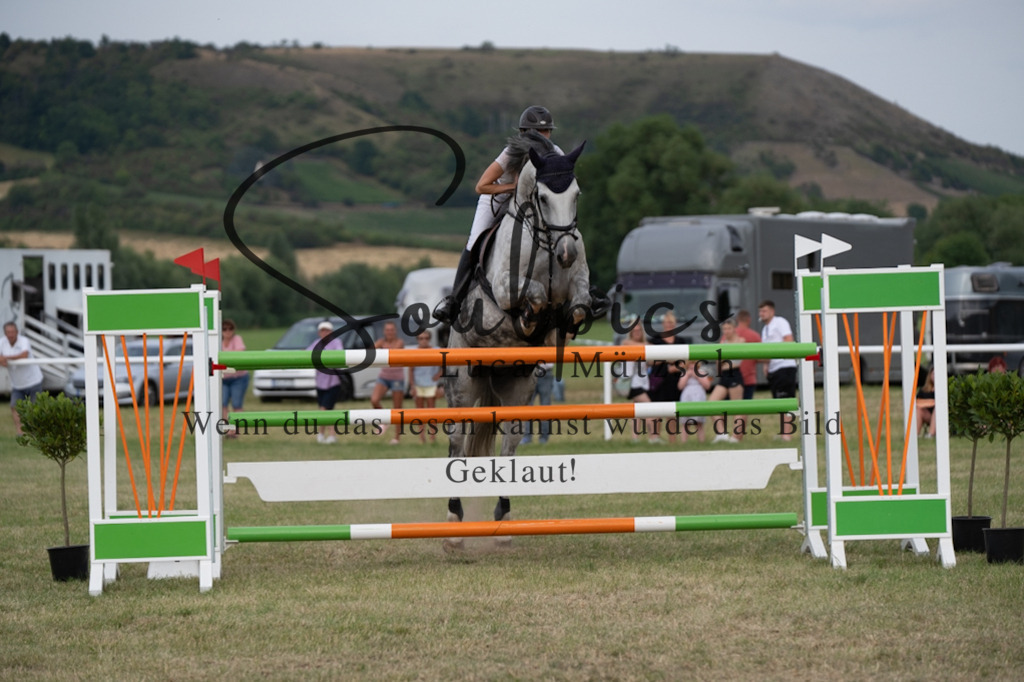 A7V02869 | Pferdefotograf