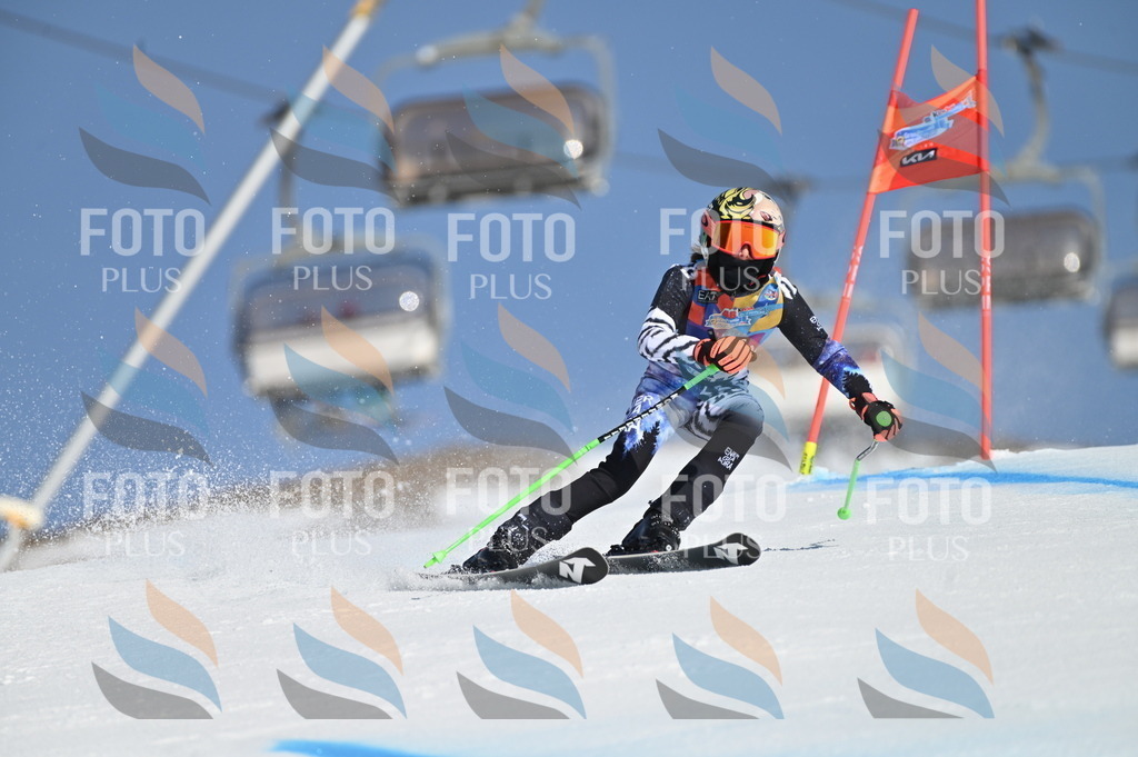 BGV_8019 | holidayphoto