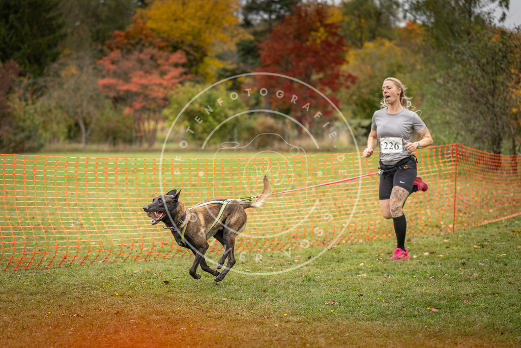 Pfotenfotografie_DV3A4641 | Hundefotografie, Tierfotograf, Pfotenfotografie, Fotoshooting Hund, Hunde Portrait, Hundesport, Hundeportraits, Heideshooting, Hunde, Sportfotograf, Hundefotograf, Turnierhundsport, THS,  - Realisiert mit Pictrs.com
