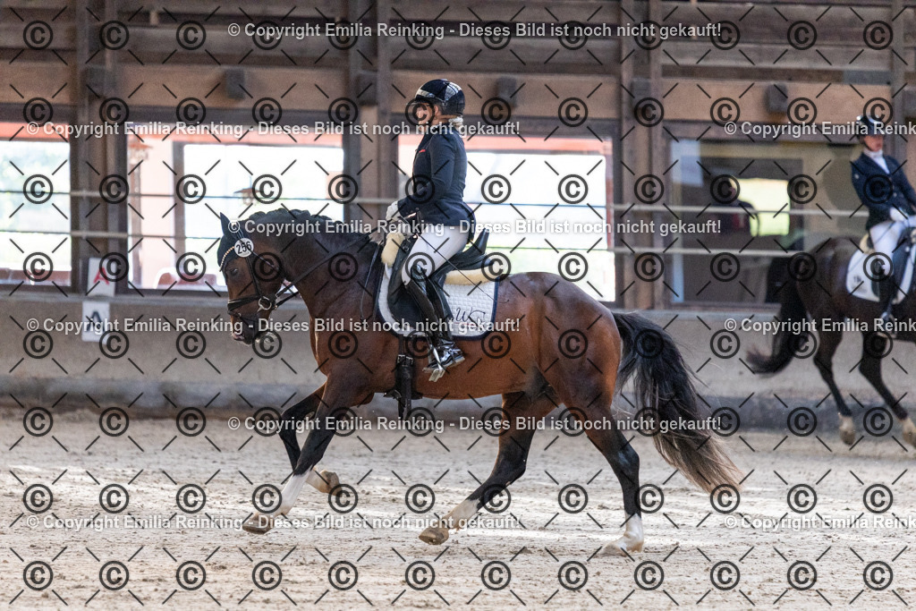 CL5A0193 | Emilia Reinking Fotografie - Realisiert mit Pictrs.com